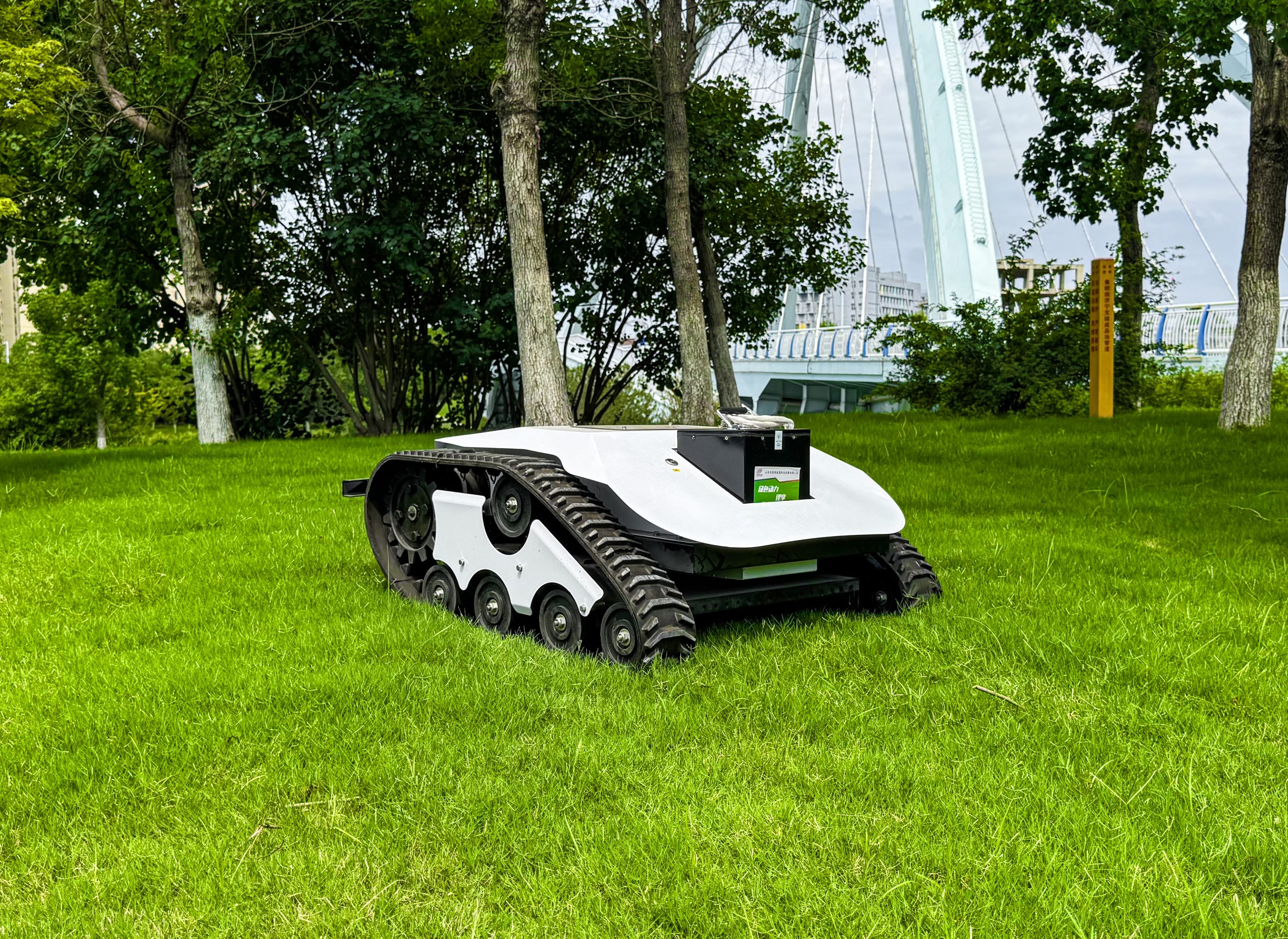 FY-800E Electric Lawn Mower