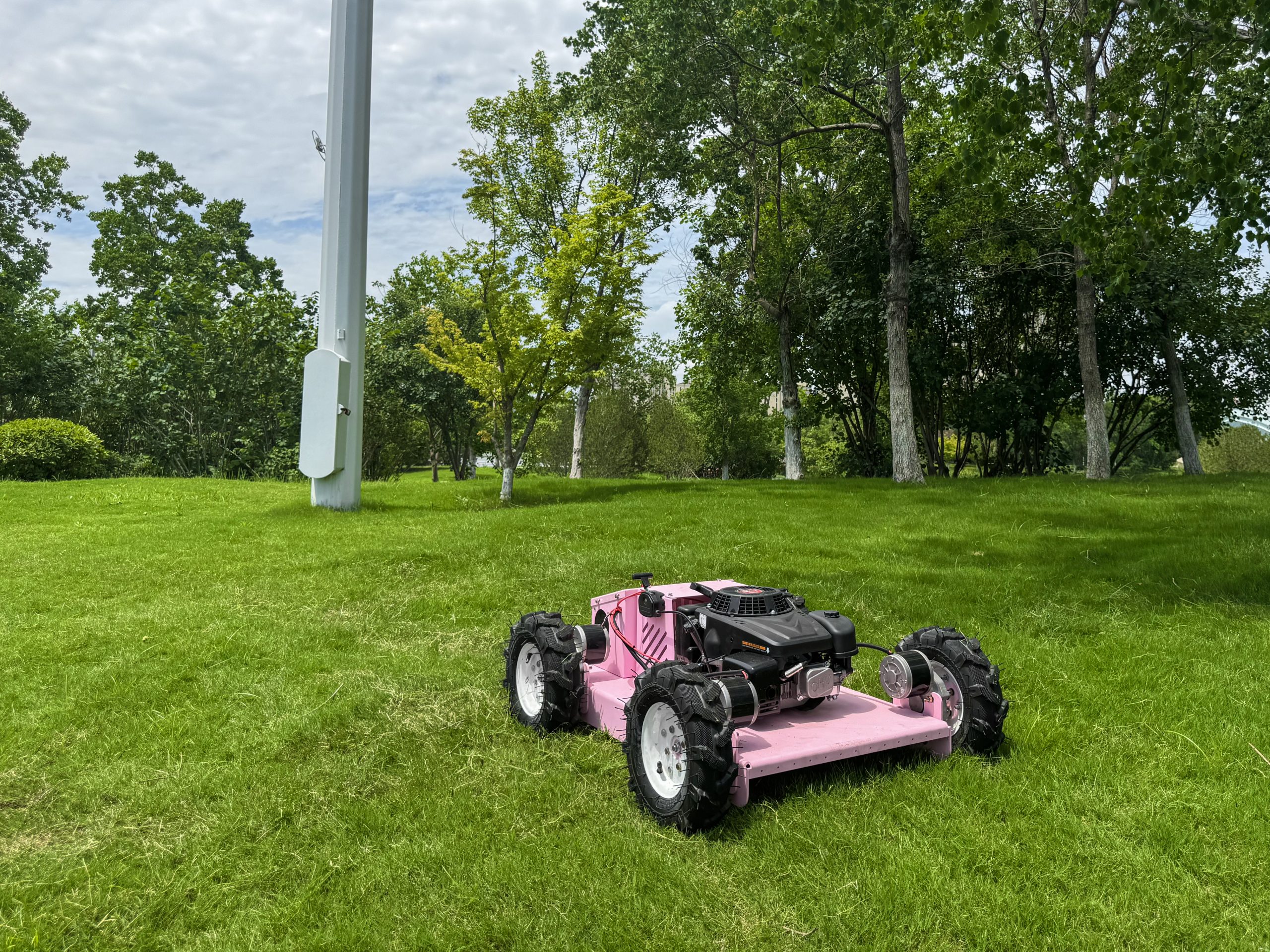 FY-550L Wheeled Lawn Mower view 2