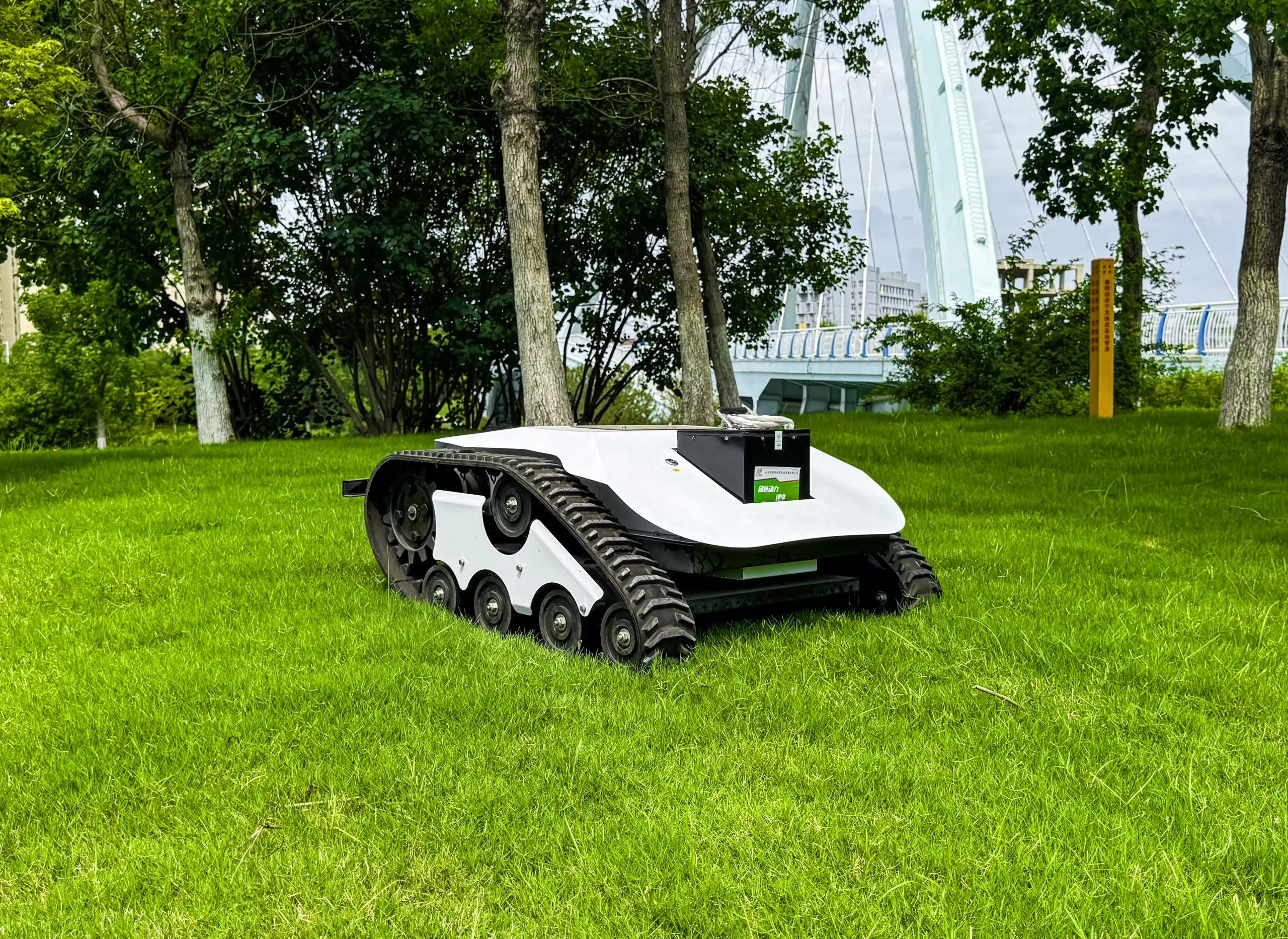 FY-800E Electric Lawn Mower